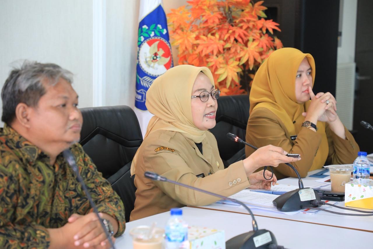 Sesditjen Bina Adwil Soroti Pentingnya Mitigasi Risiko dalam Tata Kelola Keuangan Pemerintah