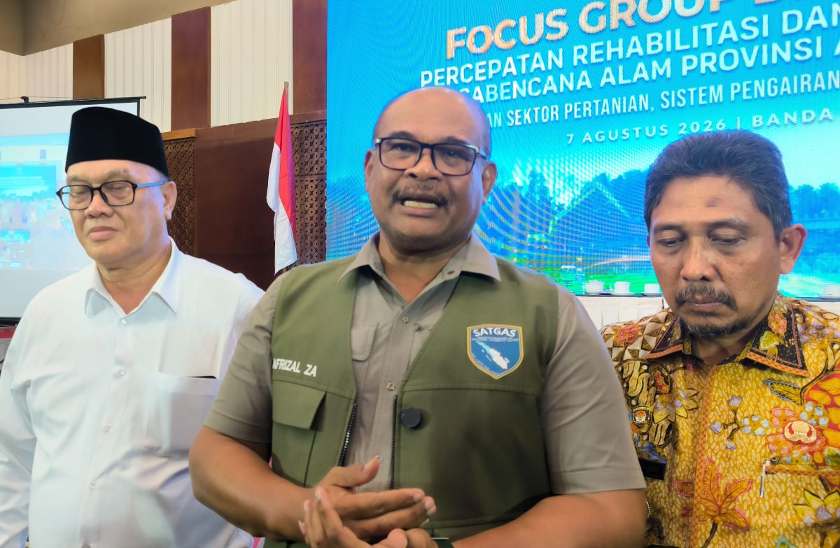 Pemerintah Percepat Pemulihan 40 Ribu Hektare Sawah Pascabencana di Aceh